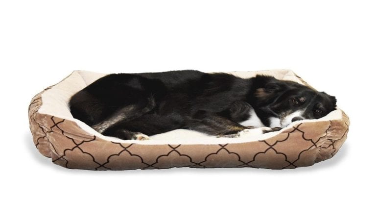 Dog sleeping on a cozy bed for dogs.
