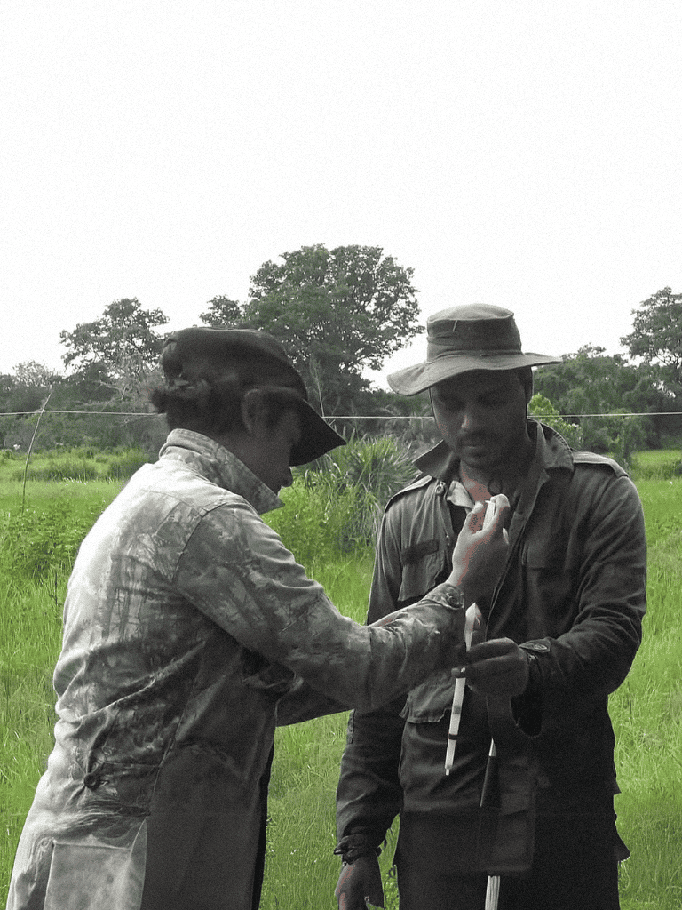 Dog being treated outdoors for injury.