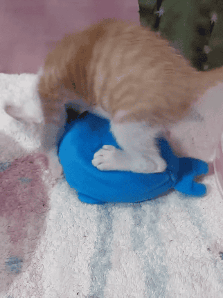 Adorable puppy chewing blue plush toy on soft rug.