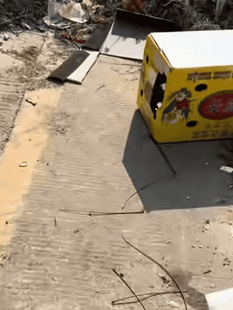 Mouse trap in a yellow box on concrete ground.