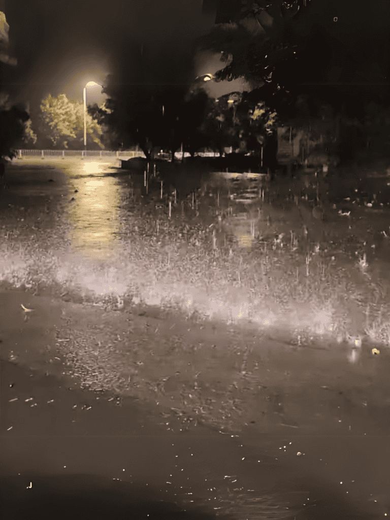 Night rain storm flooding park with reflections on wet pavement and dark trees.