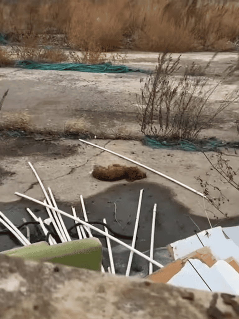 Dog lying on the ground in a desolate, abandoned outdoor setting surrounded by debris and dry vegetation.
