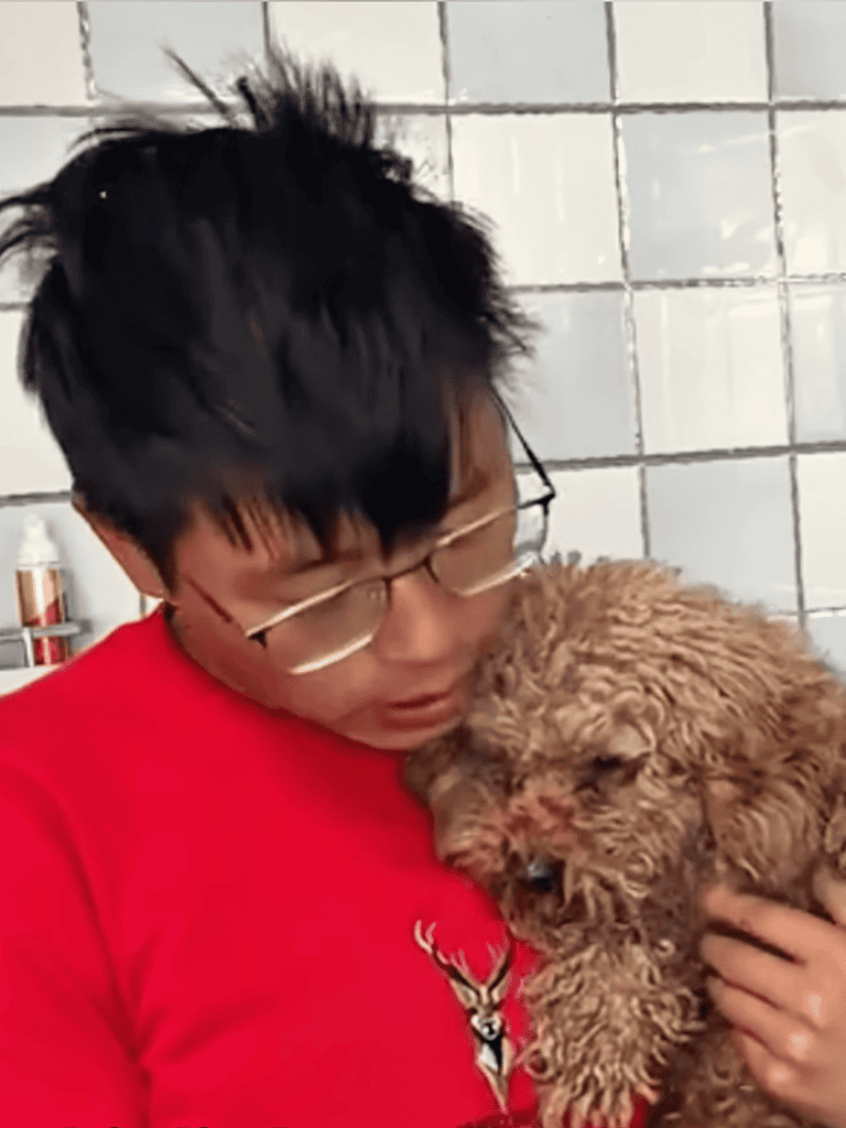 Adorable brown curly-haired puppy cuddling in a person's arms.