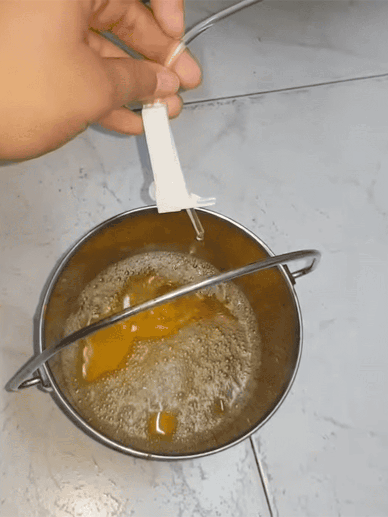 Egg incubation process for dog breeding, temperature regulation, and embryo development.